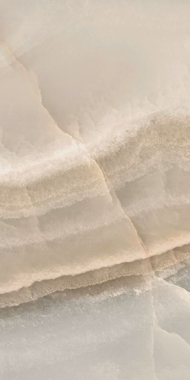 Reves Noisette Matte 12 x 24